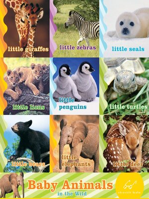cover image of Baby Animals in the Wild (set)